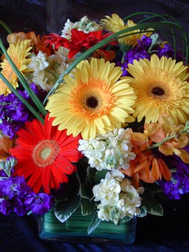 Kloeckner Preferred Flowers, Chicago's Premier Event Florist, Event Flowers