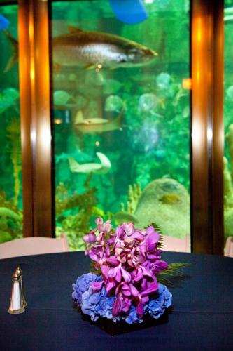 Kloeckner Preferred Flowers, Chicago's Premier Event Florist, Event Flowers