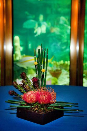 Kloeckner Preferred Flowers, Chicago's Premier Event Florist, Event Flowers